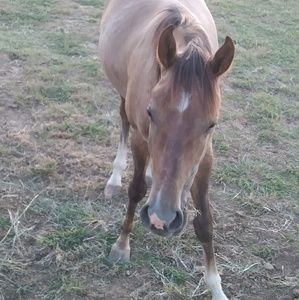 Meet your Posher, Trinity