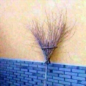 Meet your Posher, Johnny