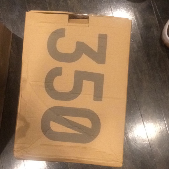 Yeezy boost 350 V2 Beluga 2.0 - Picture 5 of 7