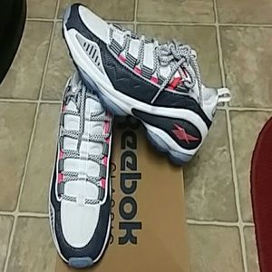 Classic Limited Release Reebok DMX Run 10