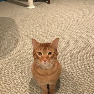 Meet your Posher, Kelly