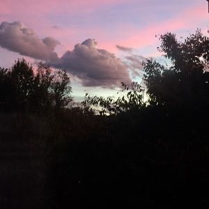 Meet your Posher, Lola