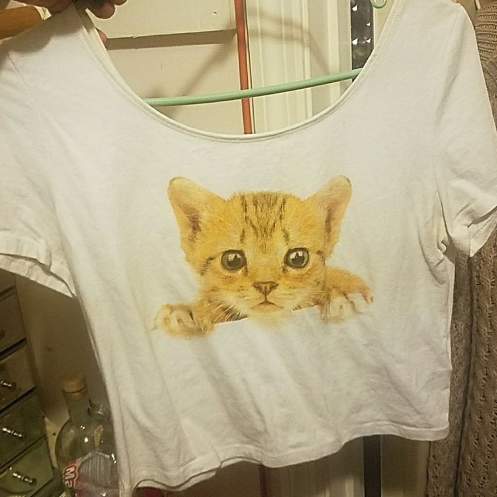 Cute White Kitty Crop