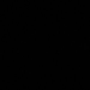 Meet your Posher, Andreina