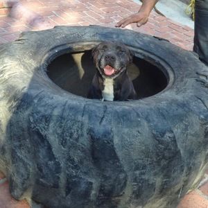 Meet your Posher, Junne