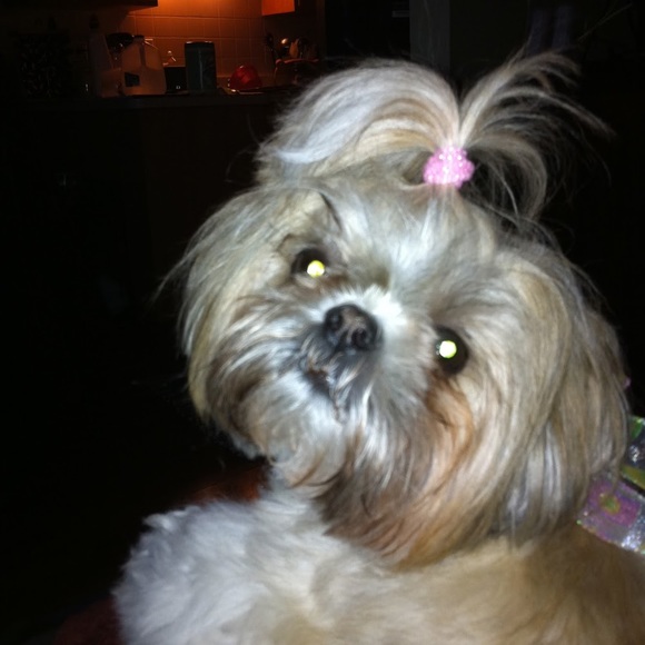 Meet your Posher, Kathy - Picture 1 of 1