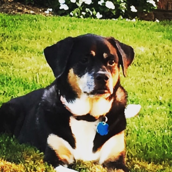 Meet your Posher, A - Picture 1 of 1