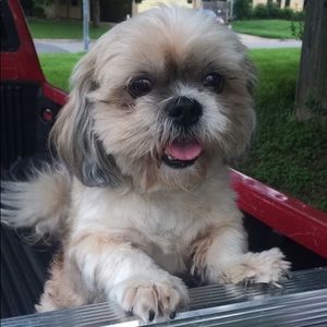 Meet your Posher, Bradley