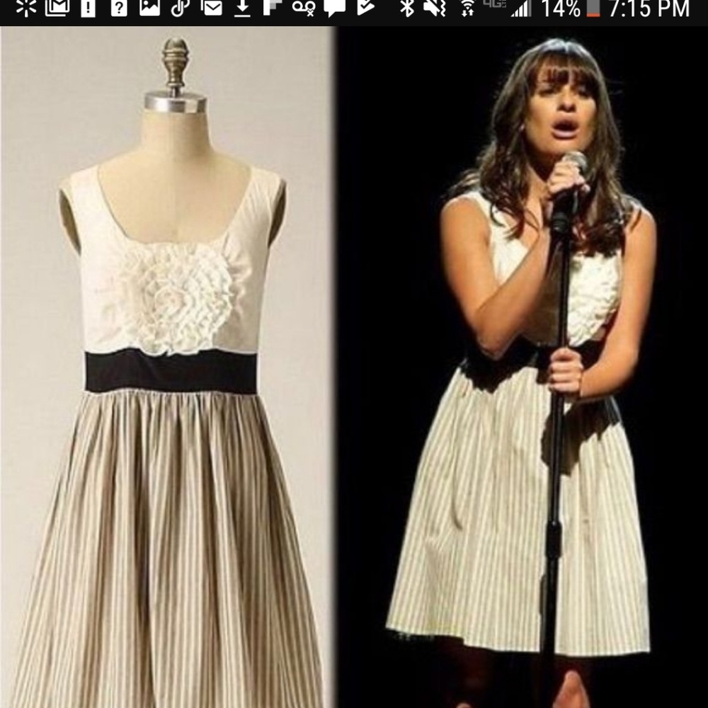 party dress (Anthropologie) burlapp
