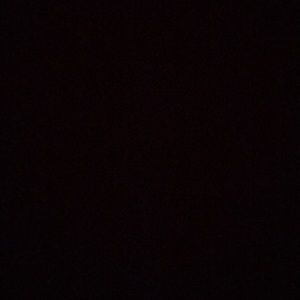 Meet your Posher, Lizzie