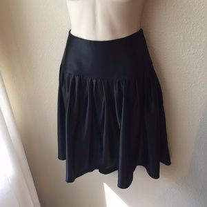 BNWT Express Silk Skirt