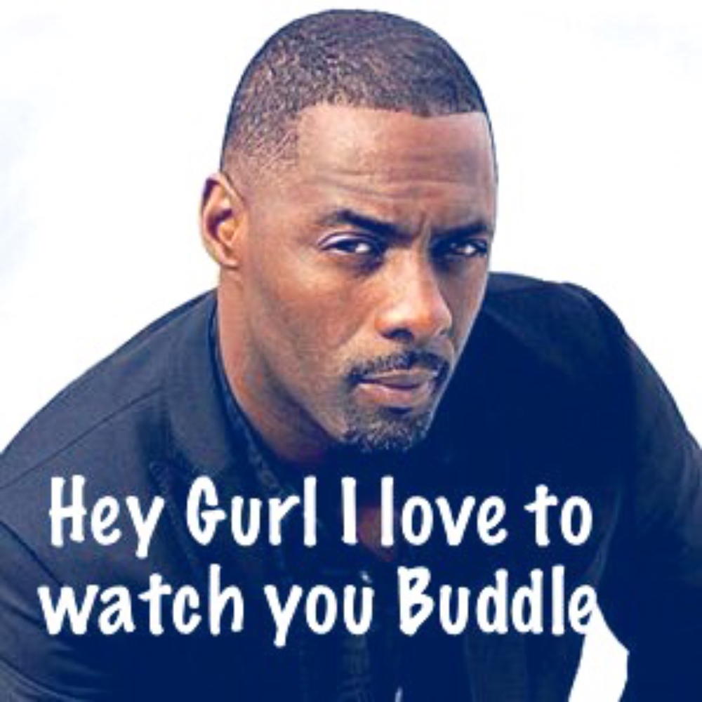 Buddle