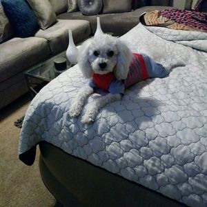 Meet your Posher, Glenda