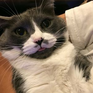 Meet your Posher, Lee