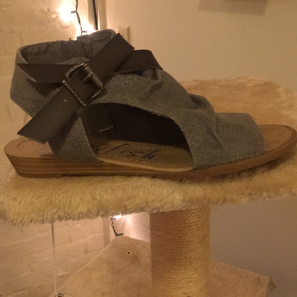 Blowfish shoe never worn!