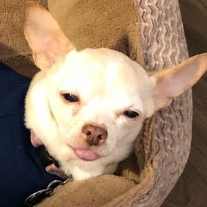 Meet your Posher, Jodi