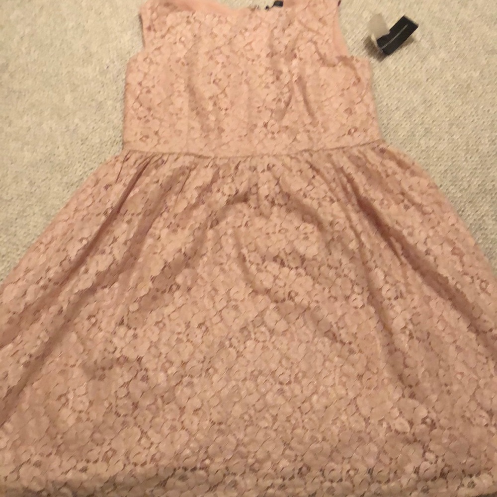 Pink blush lace French connection dress. NWT