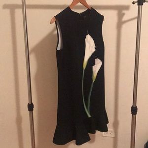 Victoria Beckham for Target dress