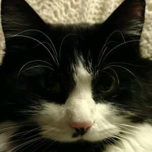 Meet your Posher, Dana