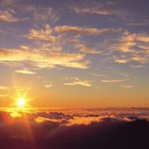 Meet your Posher, Hopskin