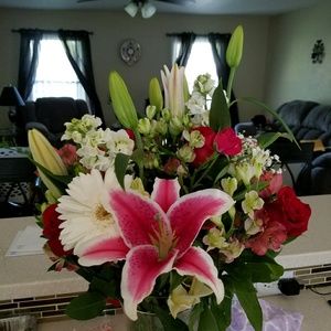 Meet your Posher, Wendy