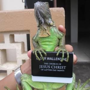 Meet your Posher, Parker