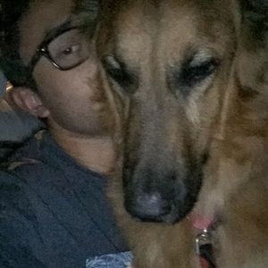 Meet your Posher, Joey