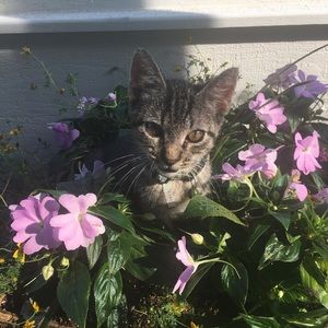 Meet your Posher, Barb