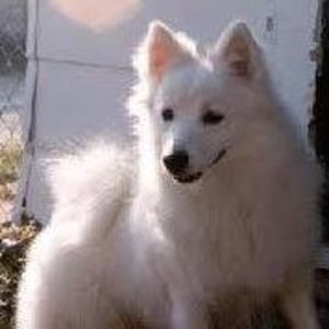 Meet your Posher, Deb