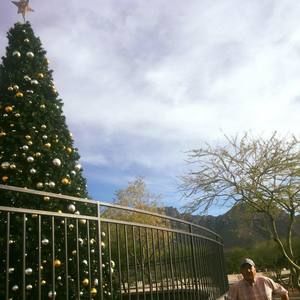 Meet your Posher, Cesar