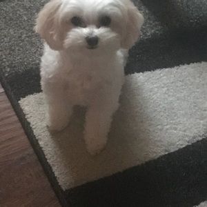 Meet your Posher, Linda