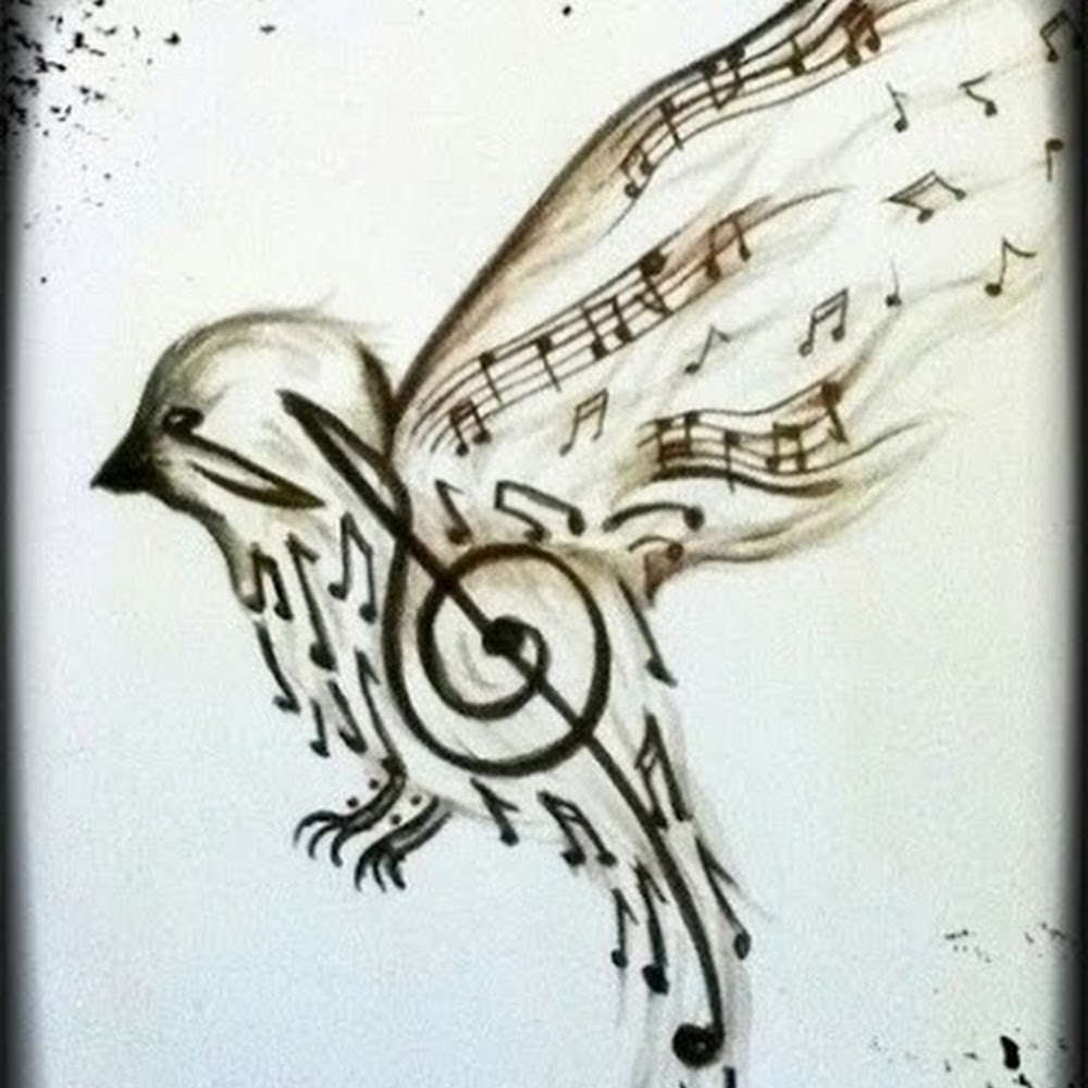 Meet your Posher, Joshua