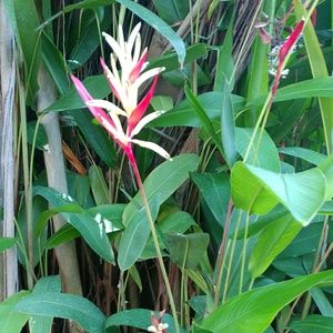 Meet your Posher, Camille