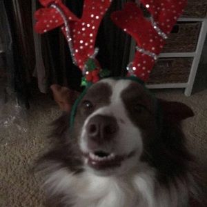 Meet your Posher, Rory