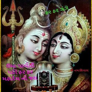 Meet your Posher, Mital