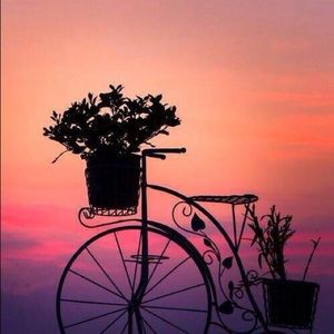 Meet your Posher, Brenda