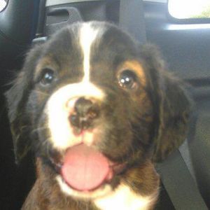 Meet your Posher, Ellie