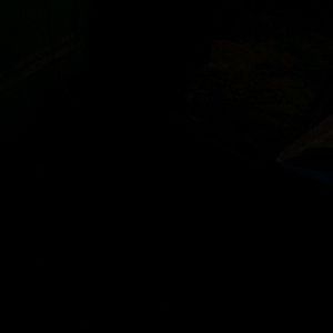 Meet your Posher, Greg