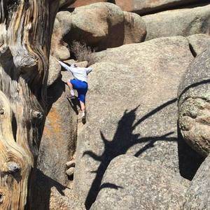 Meet your Posher, Matt