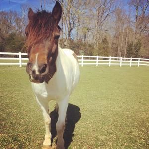 Meet your Posher, Gabi