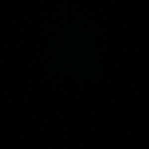 Meet your Posher, Bee