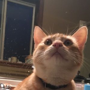 Meet your Posher, Wendy