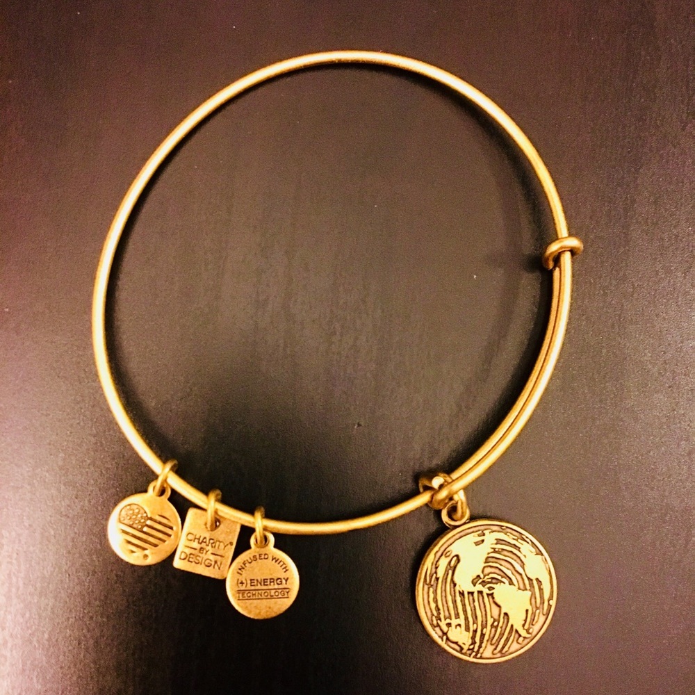 Alex & Ani Gold Bangle Bracelet