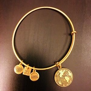 Alex & Ani Gold Bangle Bracelet