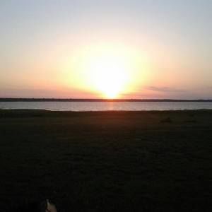 Meet your Posher, Wyatt