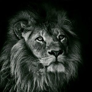 Meet your Posher, Jon