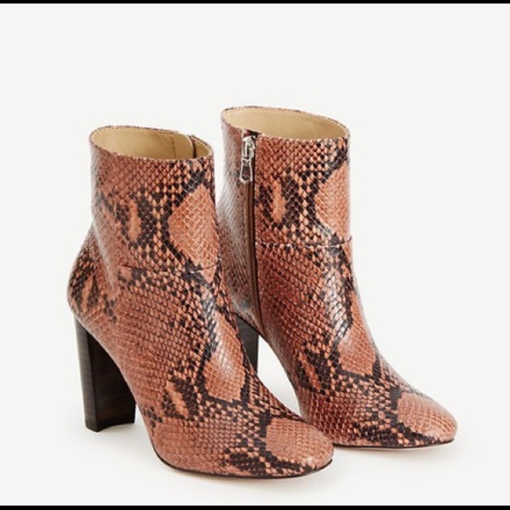Brand new Talulah snake print booties 8.5