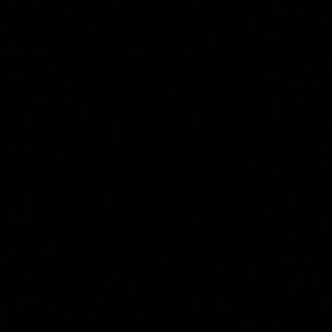 Meet your Posher, Brody