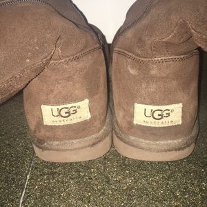 Brown Women’s Tall Zip Up UGGS