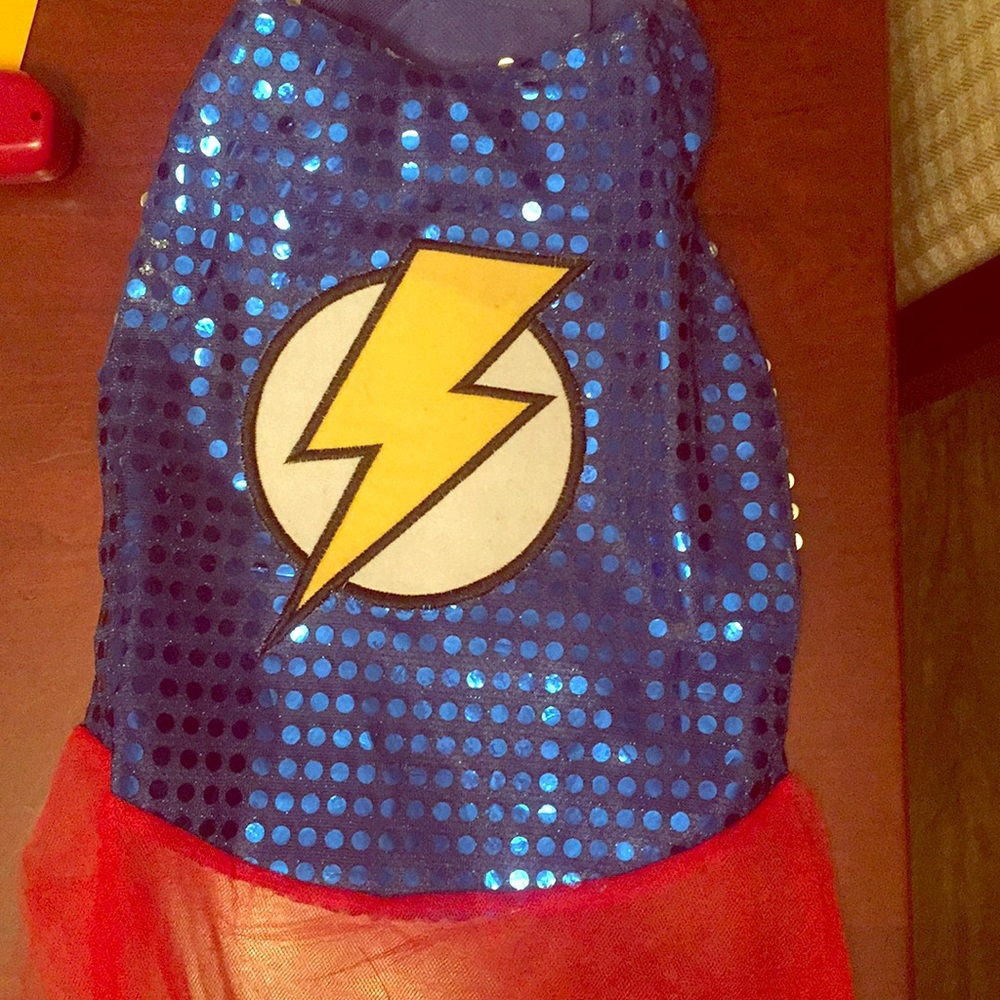 Flash Superhero Dog Costume